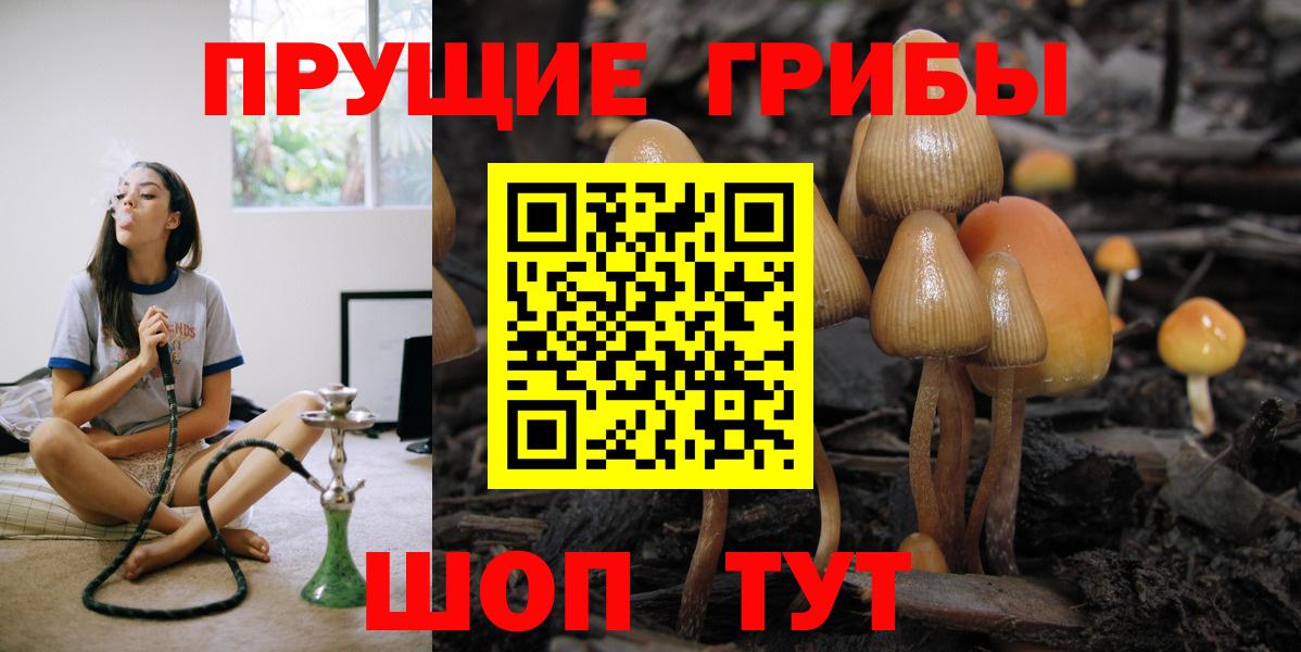 Кузнецк  Галлюциногенные грибы Magic Shrooms  Вход с VPN 